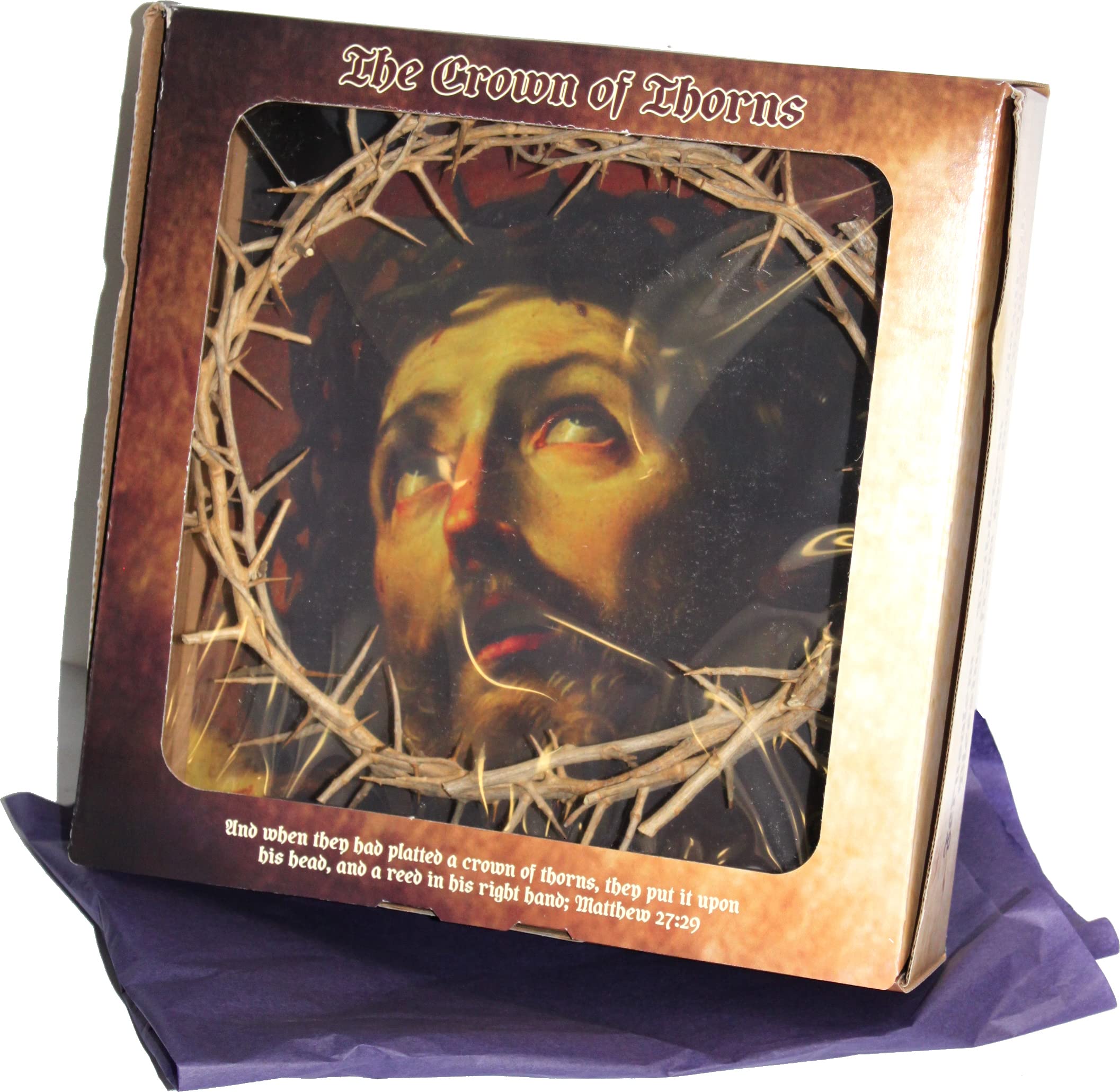  Holy Land Market Authentic Crown of Thorns from The Holy Land - in Gift Box (10-11 Inches)、mySite、elrpsem3k