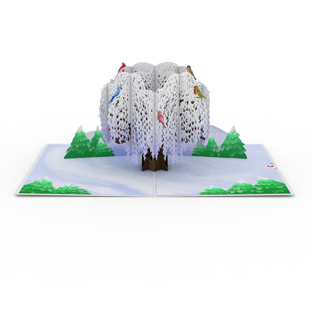 Winter Willow Tree Birds 12-Pack、mySite、solidvoid