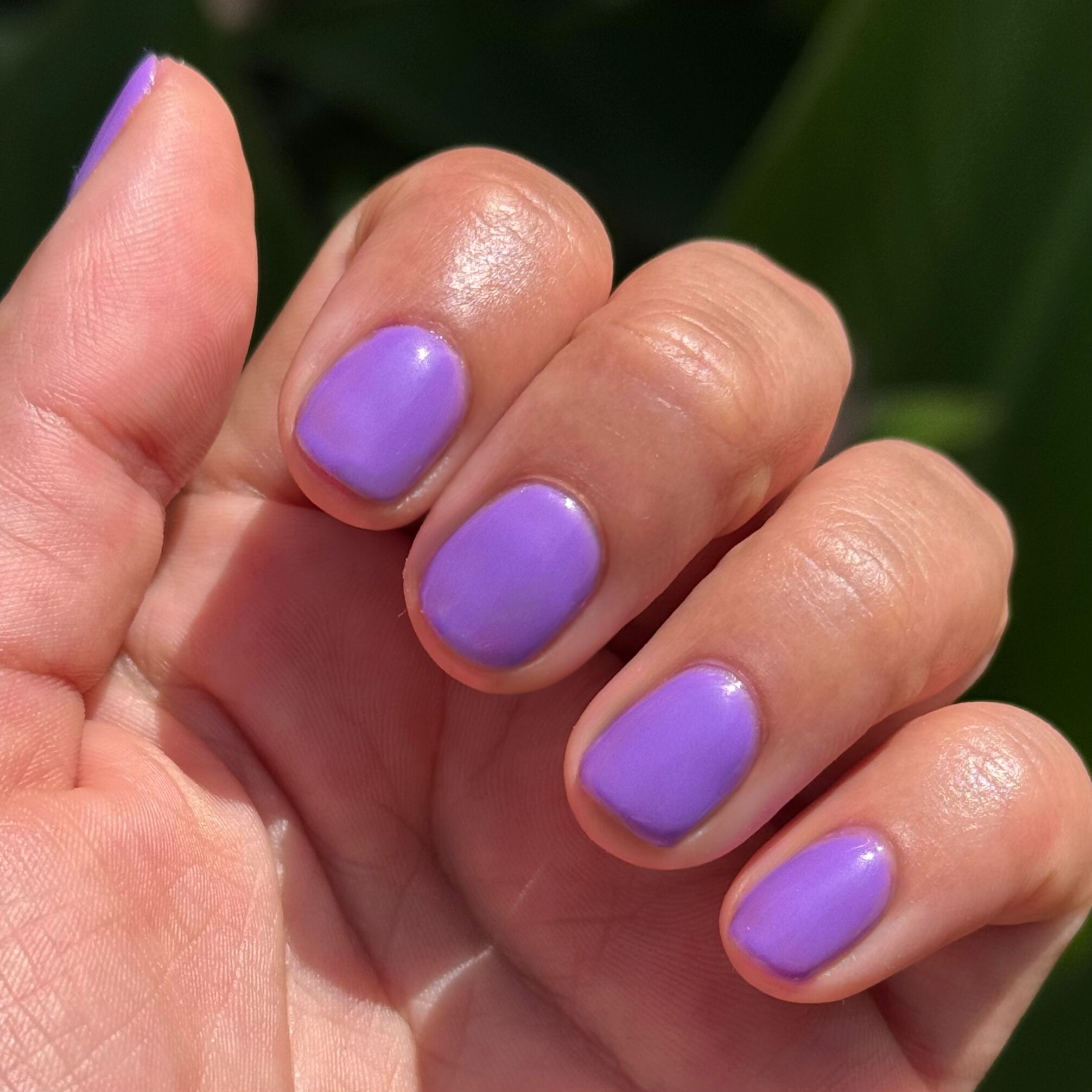 Wish You Were Here - Gel、mySite、solidvoid