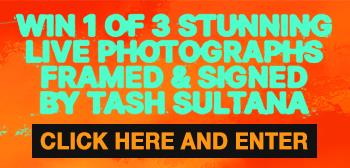 Terra Firma (JB Hi-Fi AU Exclusive Opaque Yellow Vinyl)、mySite、camillekostekn