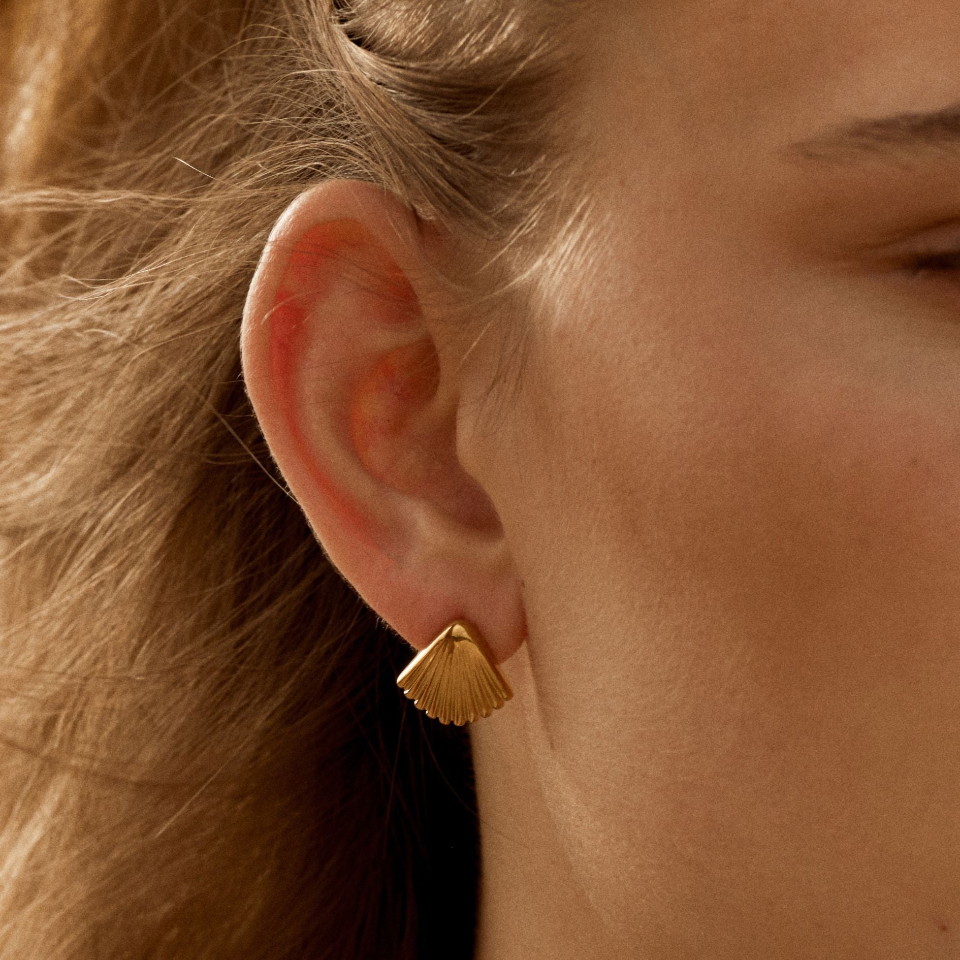 Seashell Earrings、mySite、hinf8tx79