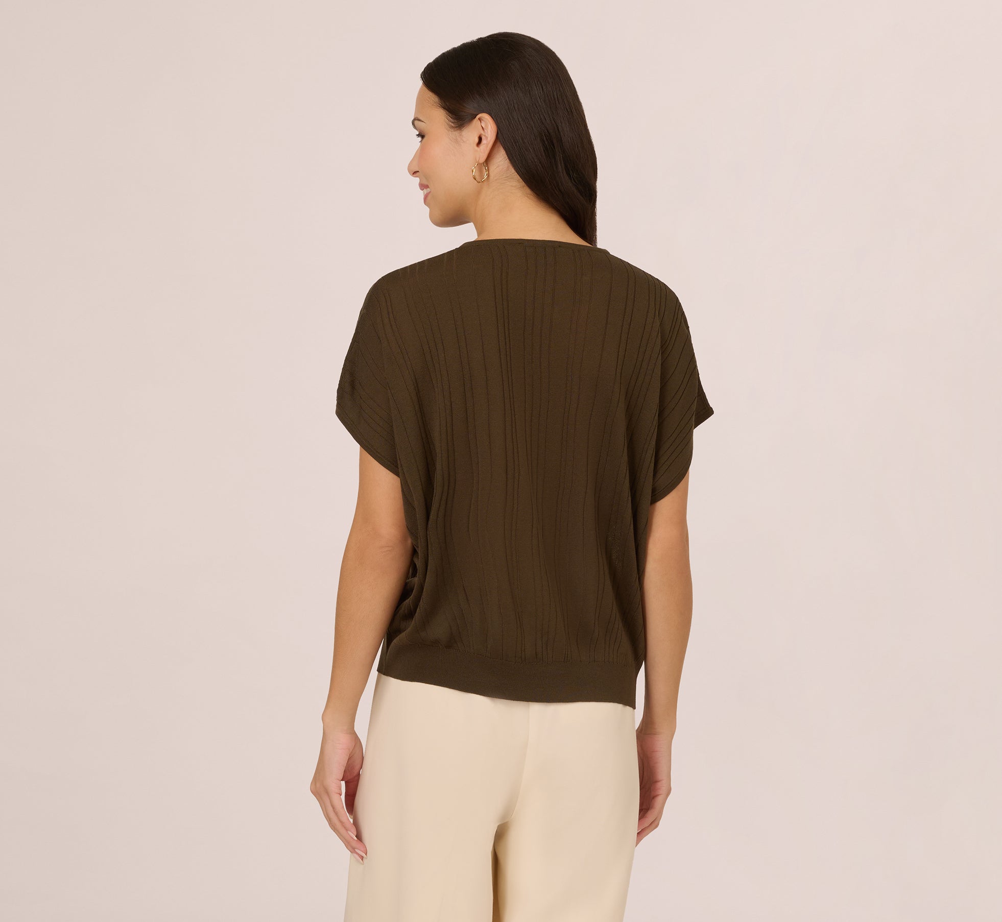 Short Sleeve Lightweight Rib Knit Sweater Top In Chocolate Walnut、mySite、solidvoid