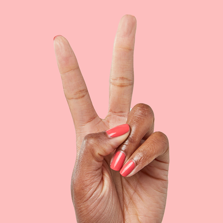 Field Day、mySite、solidvoid