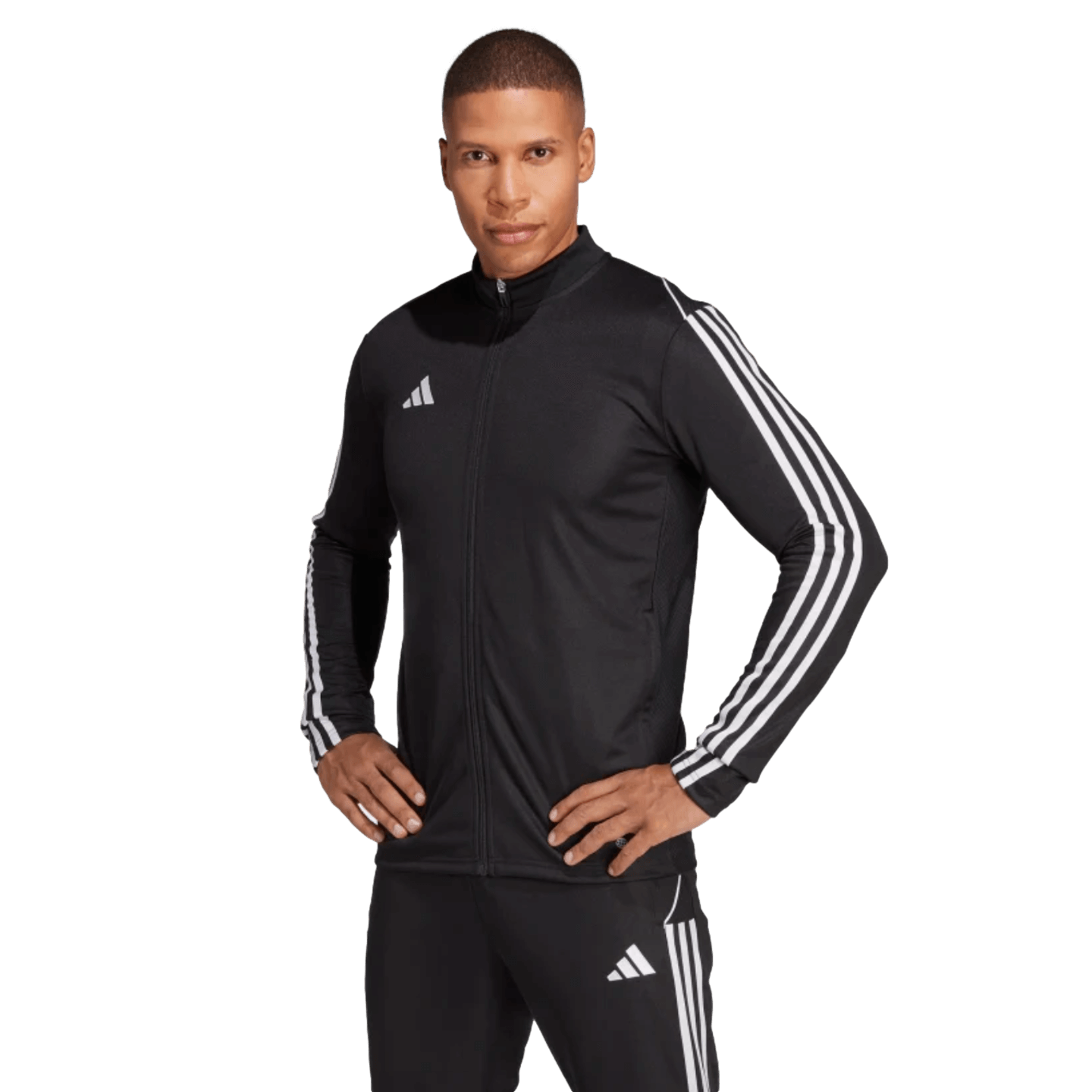 Adidas Tiro 23 League Training Jacket - Black、mySite、noshort