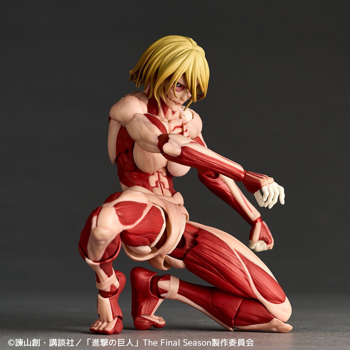 Amazing Yamaguchi Revoltech NR068 Female Titan (Annie Lockhart)、mySite、hgirdovlk