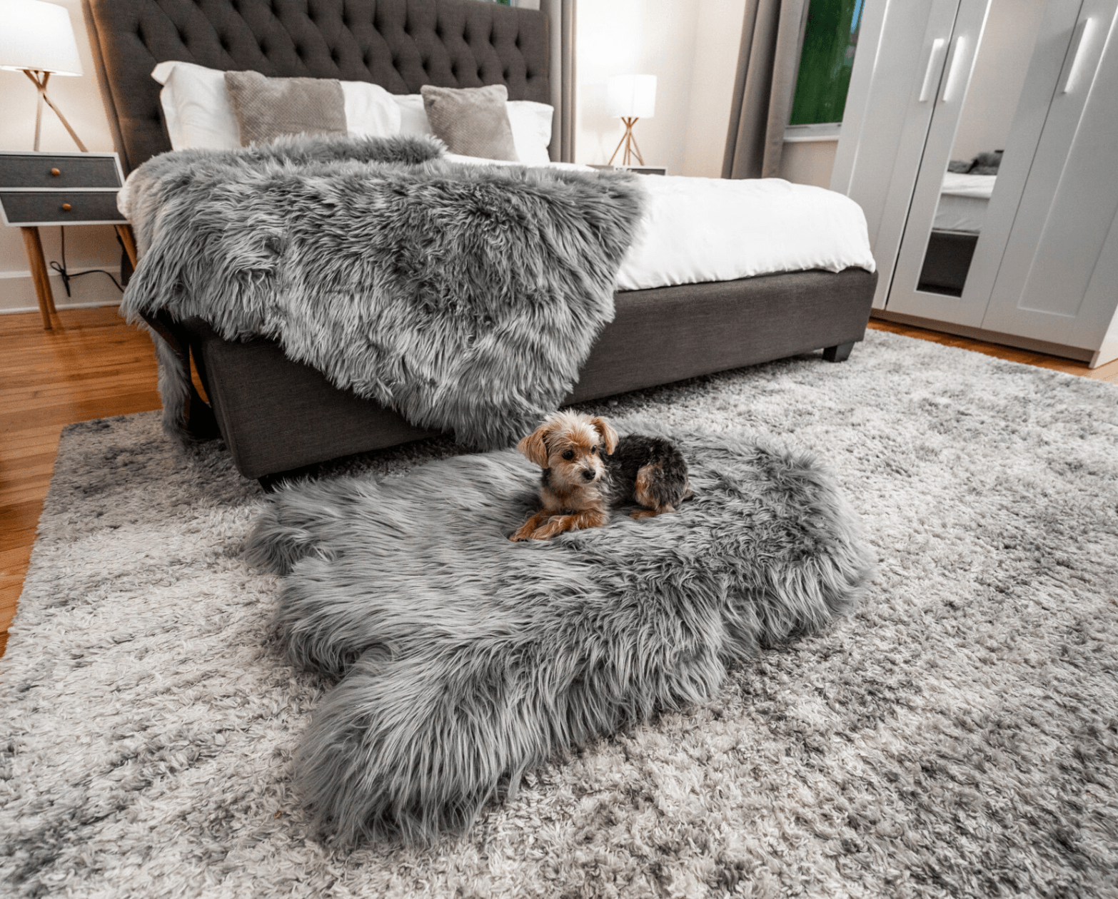PupRug™ Orthopedic Bed + Matching Waterproof Blanket Bundle - Charcoal Grey、mySite、solidvoid