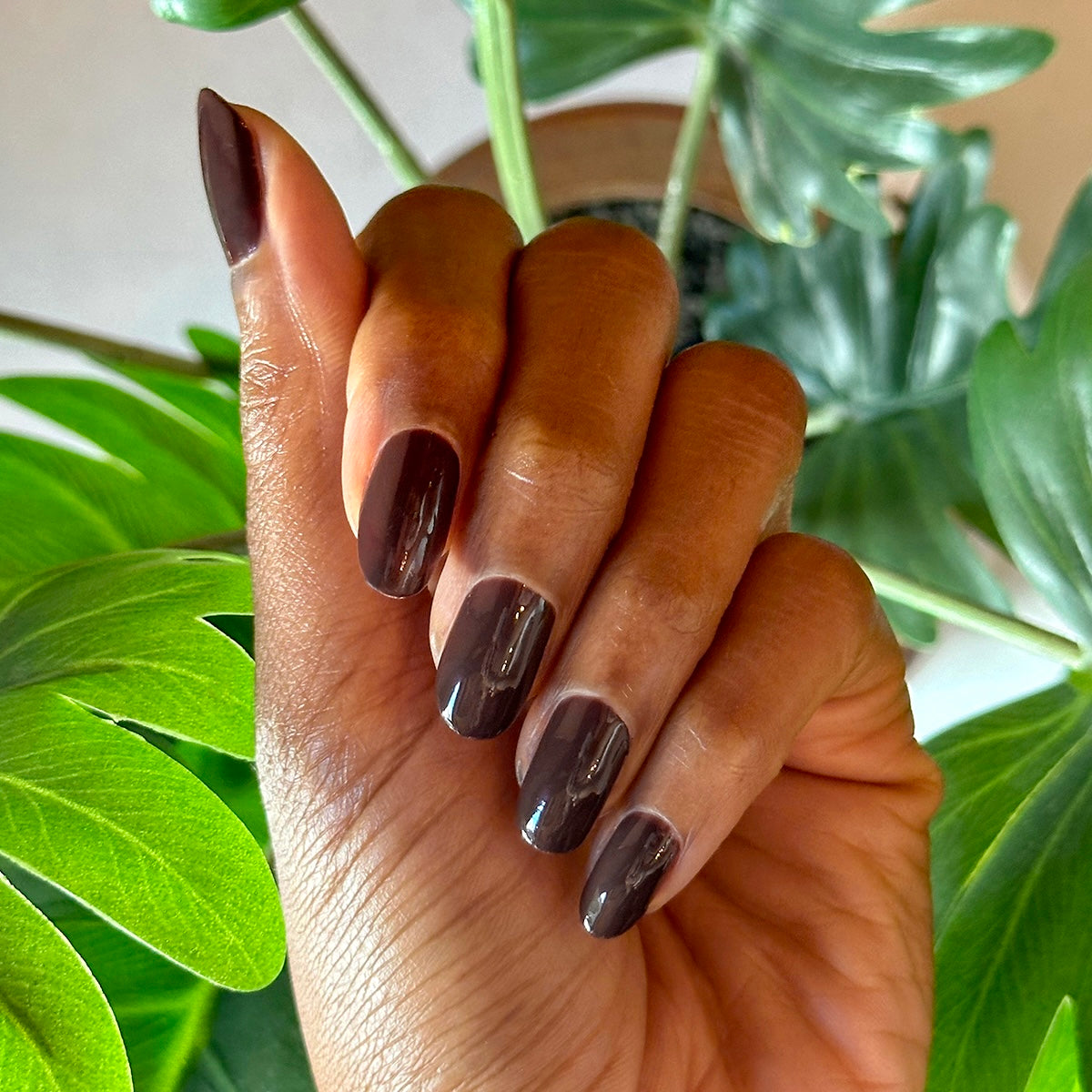 Spressotini、mySite、solidvoid