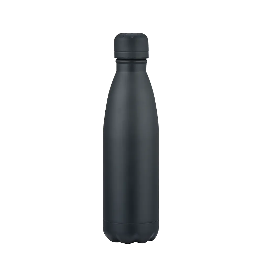 Slate 17 oz Vaccuum Bottle、mySite、noshort