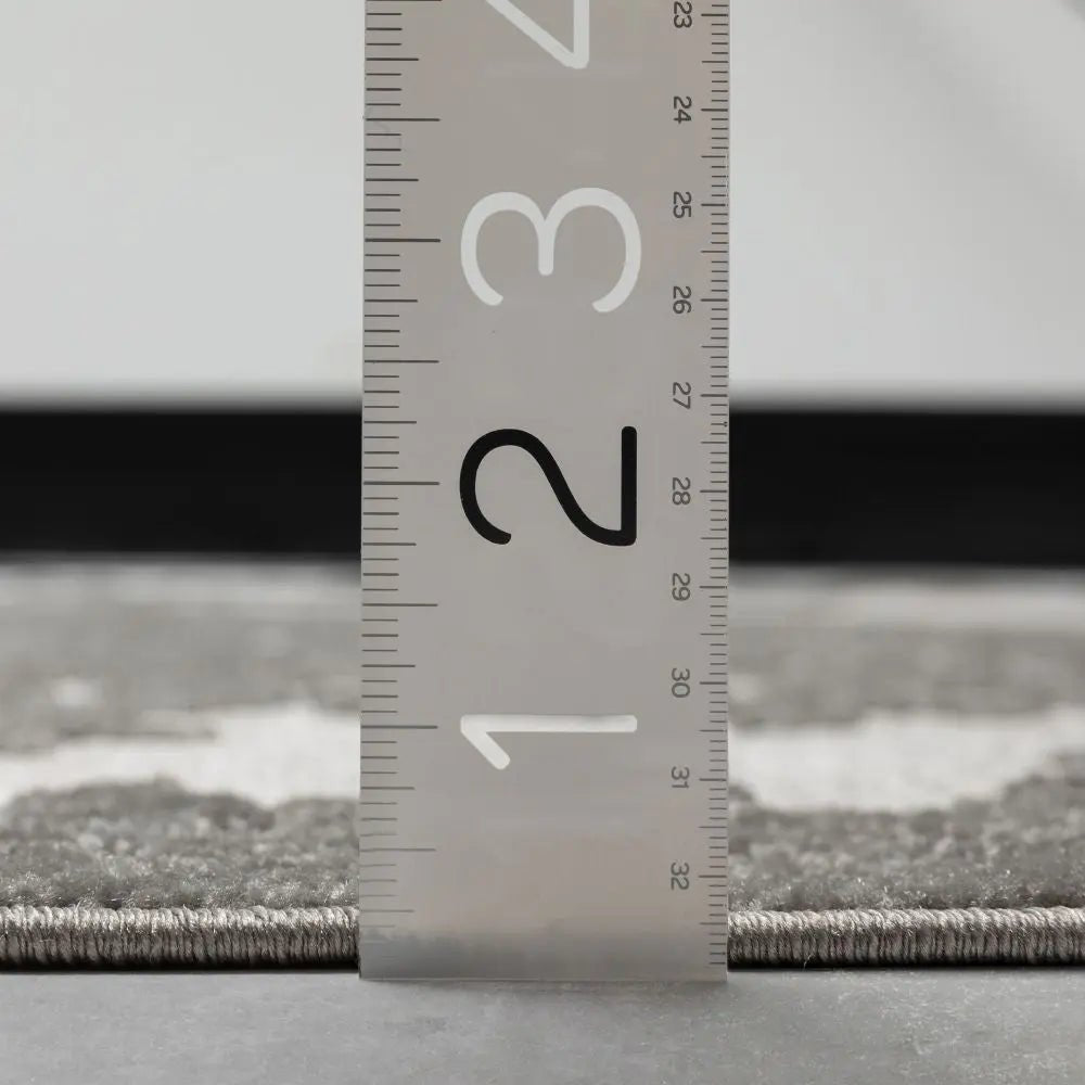 Arid Modern Medallion Persian Indoor/Outdoor Grey High-Low Rug、mySite、gigharbornorthrealestate