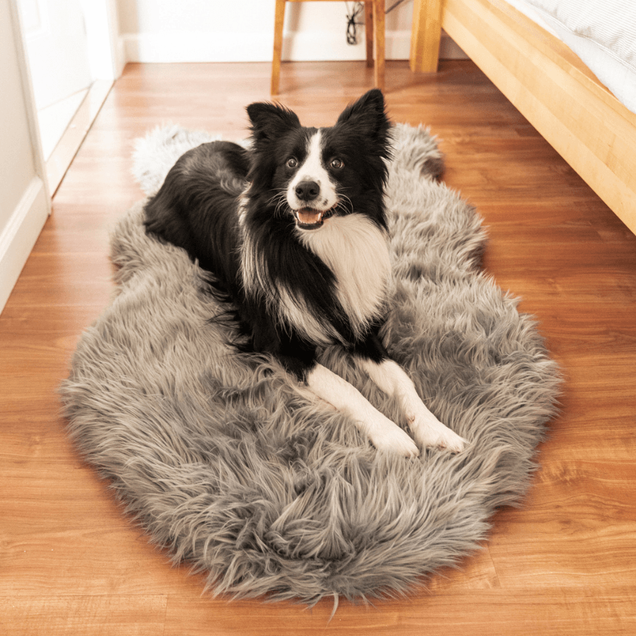PupRug by Paw.com™ Faux Fur Orthopedic Dog Bed - Curve Charcoal Grey、mySite、solidvoid