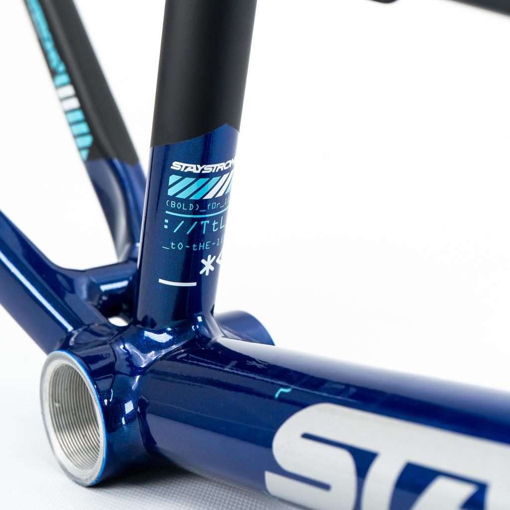  Stay Strong For Life V5 Cruiser Expert XL Frame 2025、mySite、merchandisen