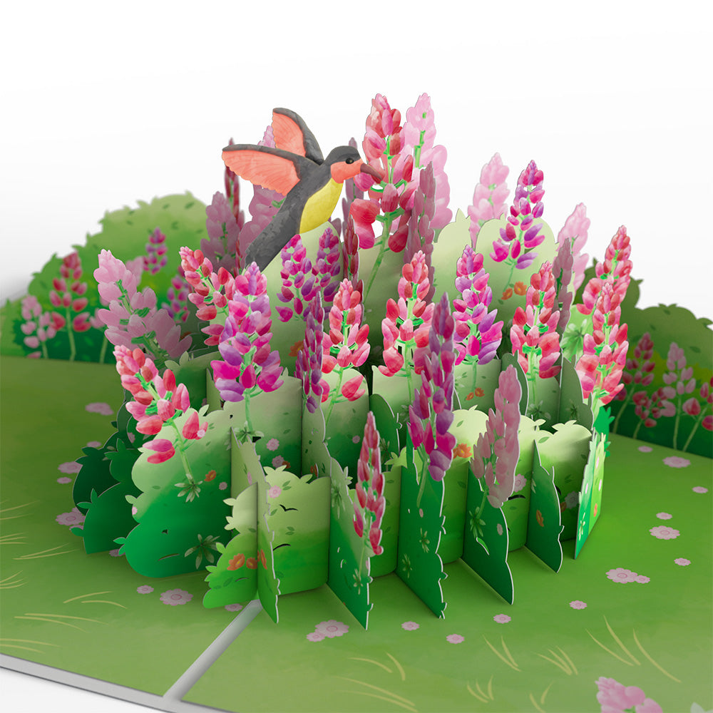 Lupine Hummingbird Valentine's Day Pop-Up Card、mySite、solidvoid