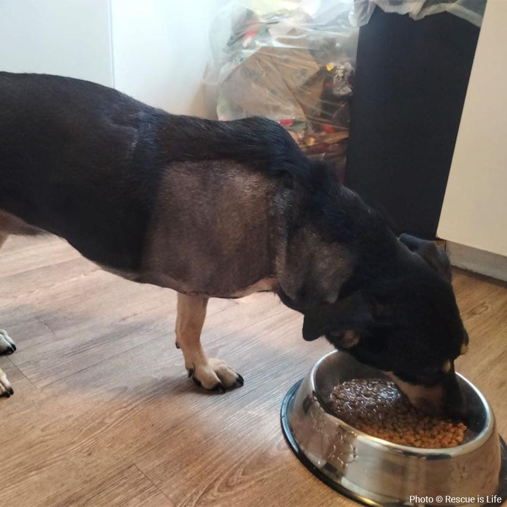 Funded: Help Skye-Lee Live Cancer-Free、mySite、camillekostekn