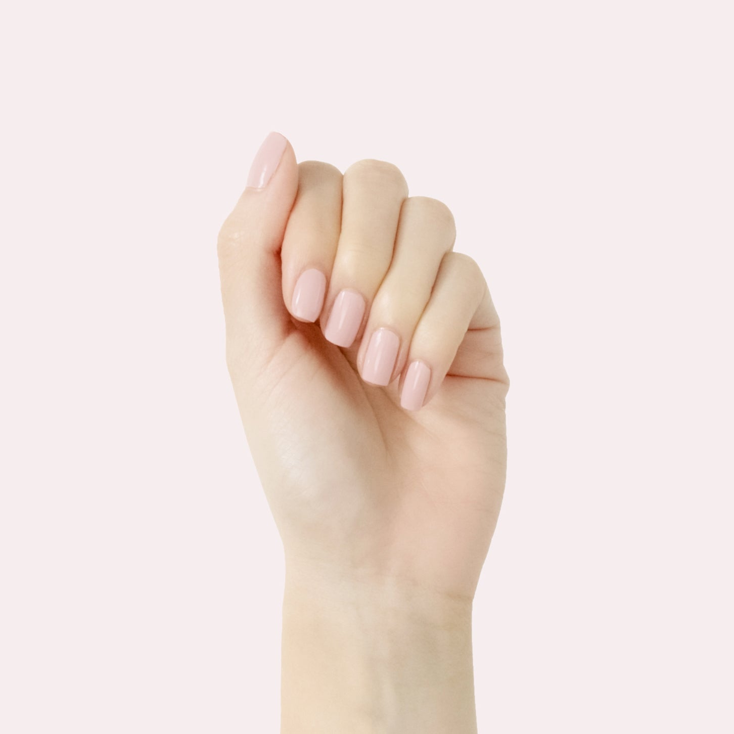 Study Hall、mySite、solidvoid