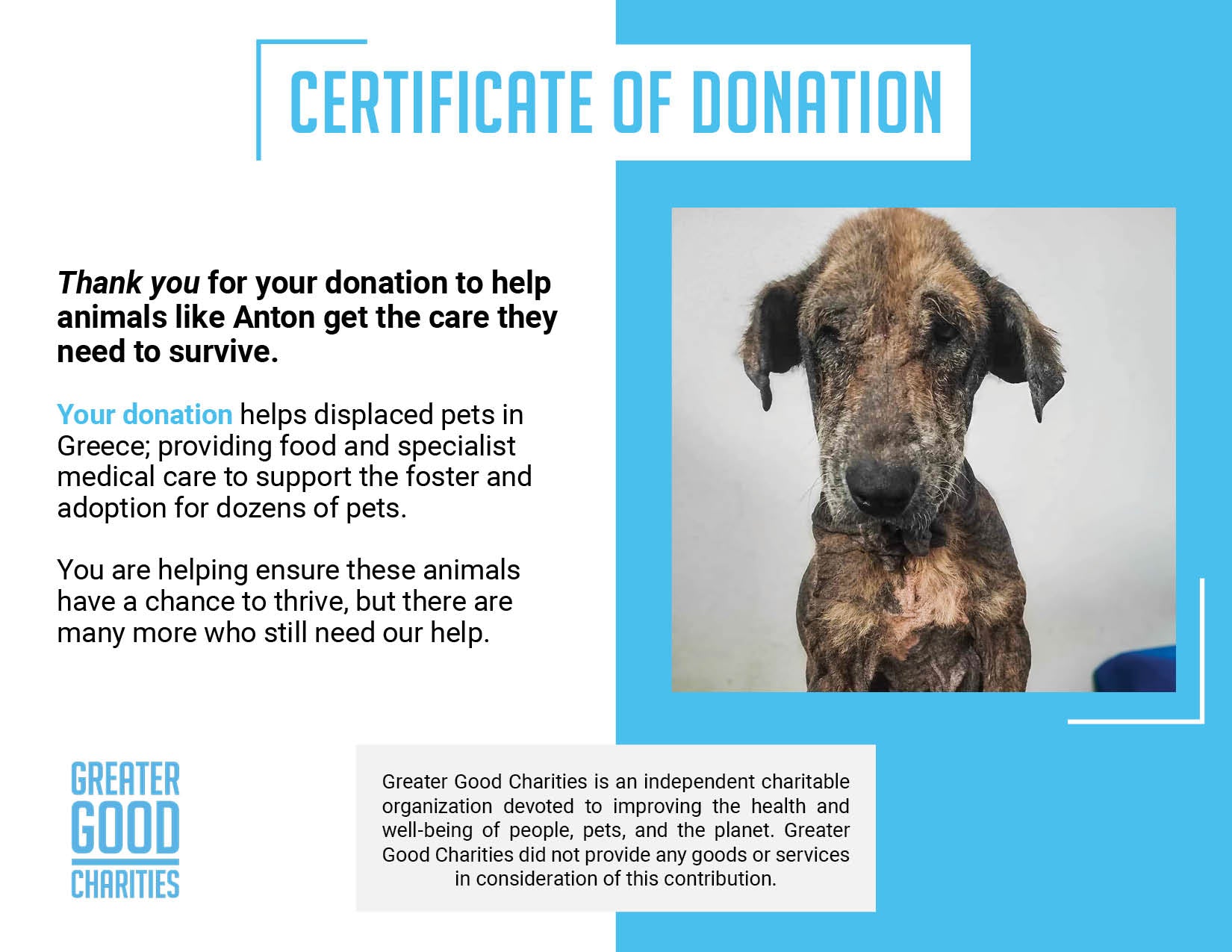 Funded: Help Emaciated Dog Who Was Waiting to Die Get Care He Needs、mySite、camillekostekn