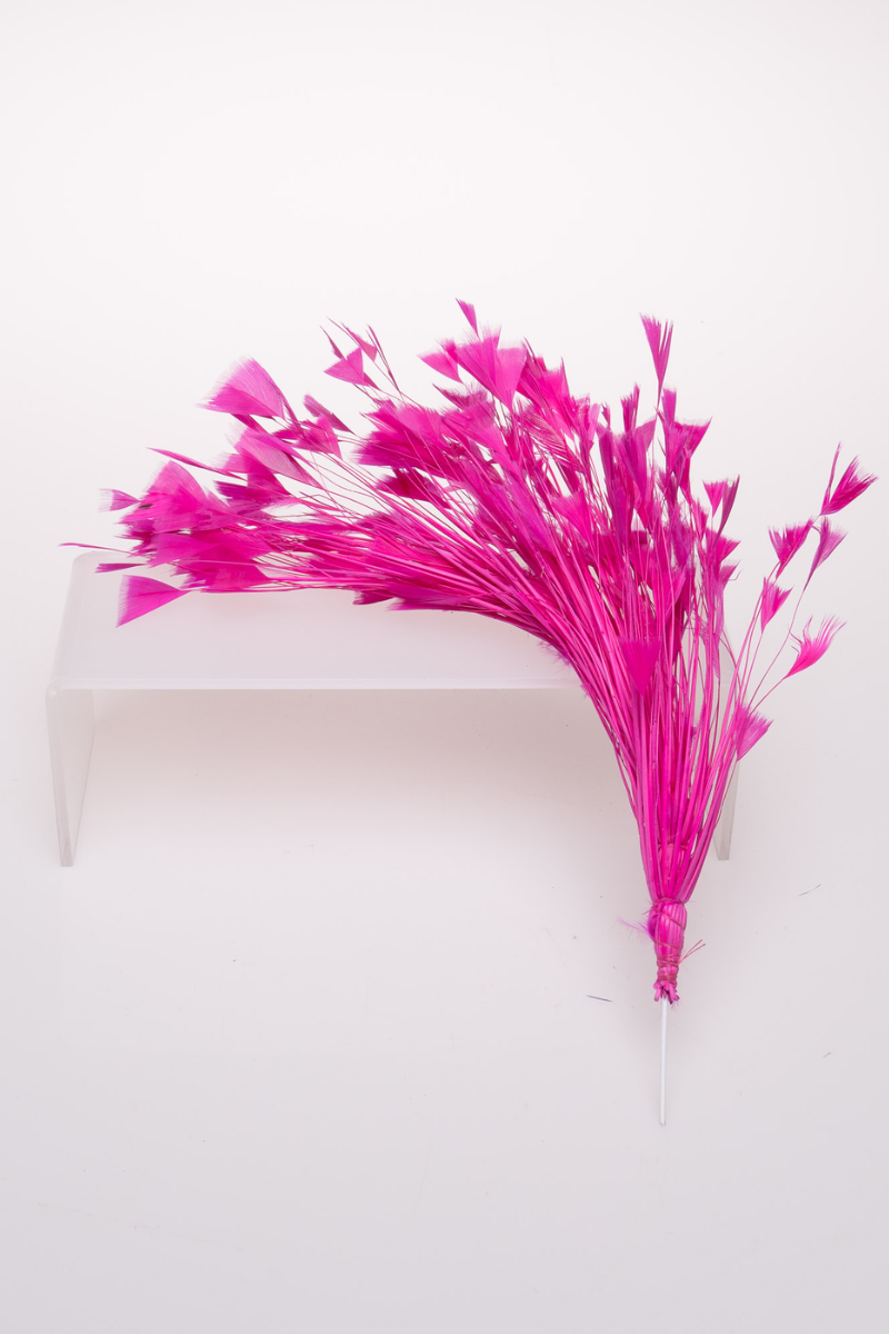 Turkey Feather Bunch - FINAL SALE、mySite、hinf8tx79