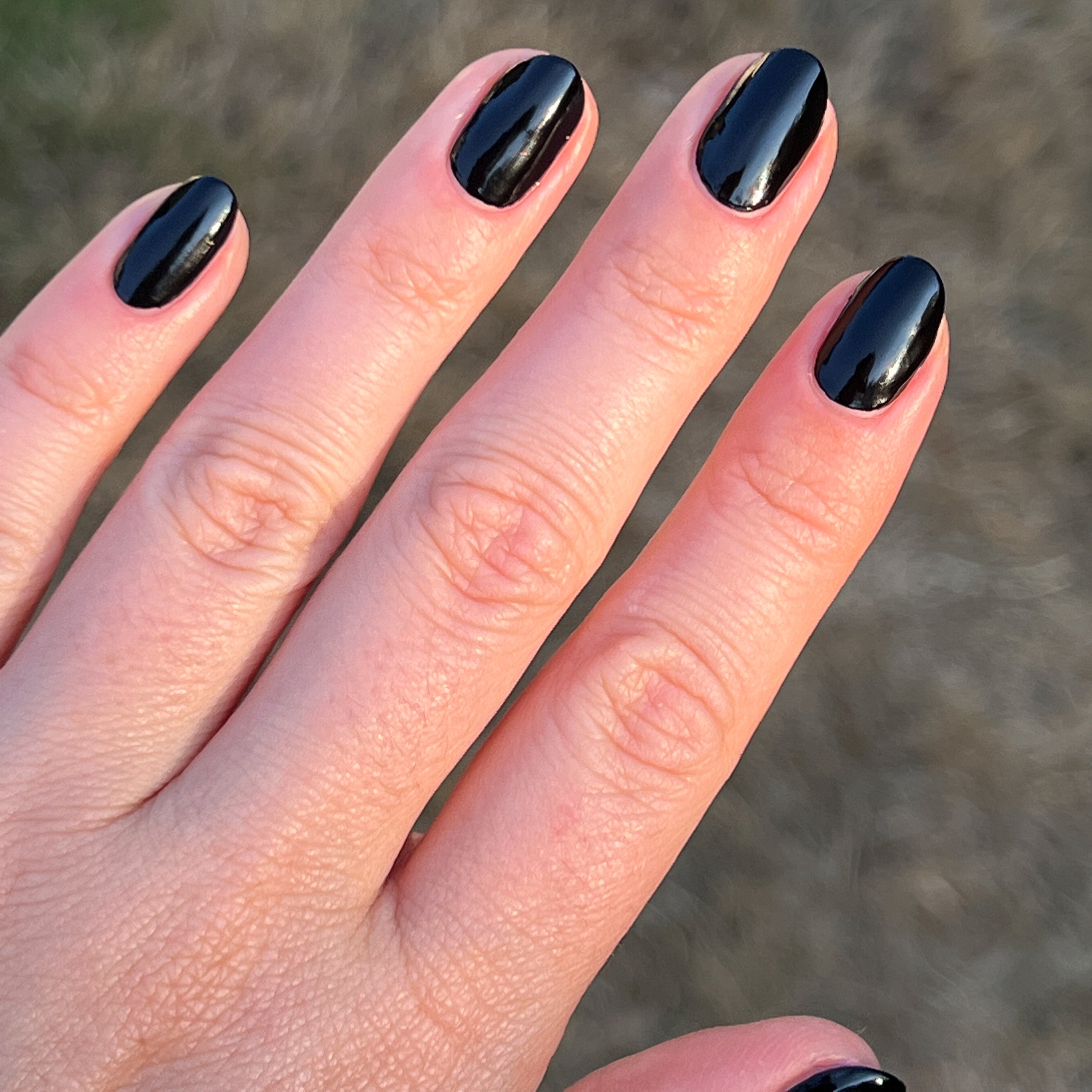 Cateye、mySite、solidvoid