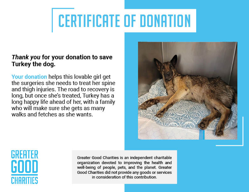 Funded - Save Turkey's Spine、mySite、camillekostekn