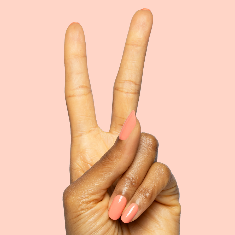 Frolic、mySite、solidvoid