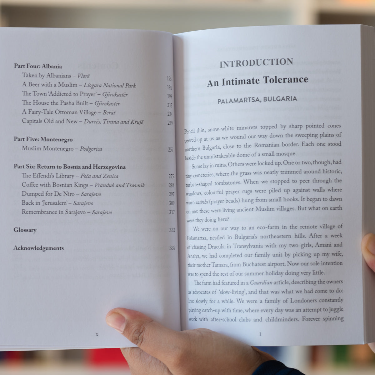 Minarets in the Mountains: A Journey into Muslim Europe、mySite、topwebapps