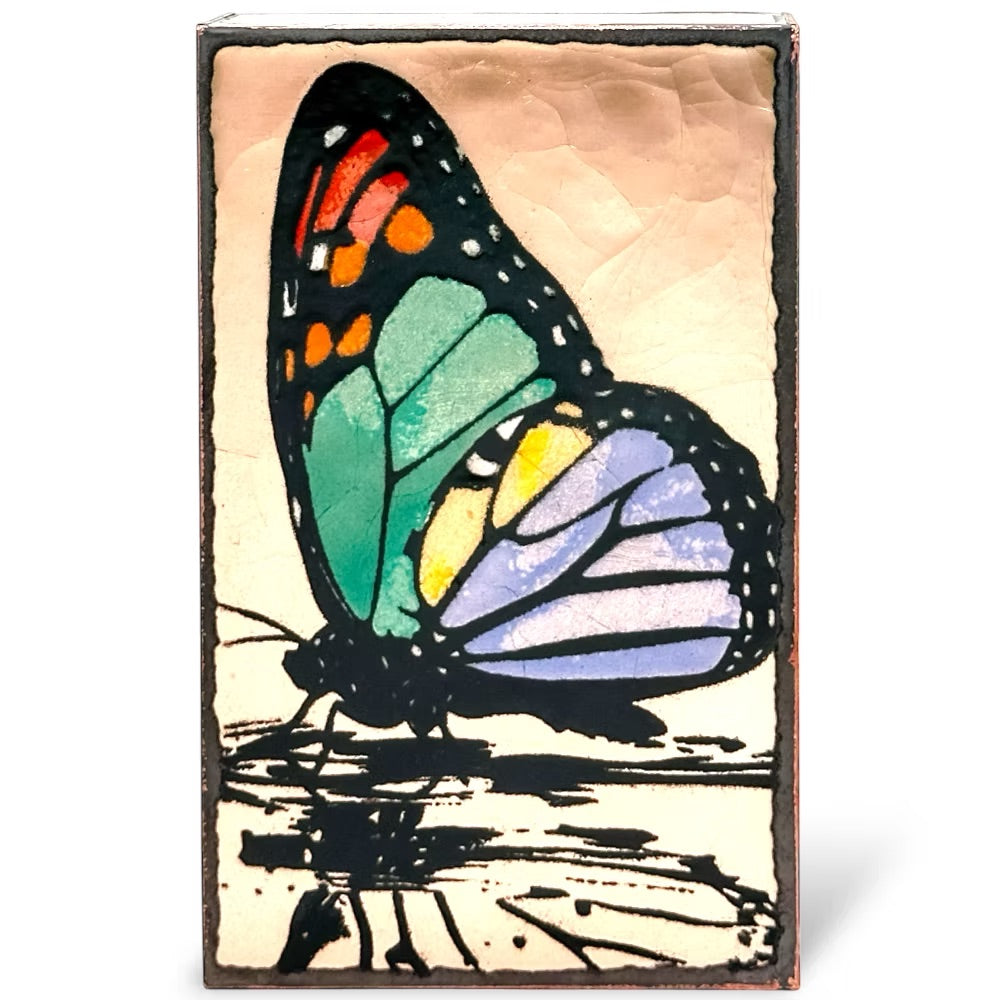 293: Life in Color、mySite、g9winljtr