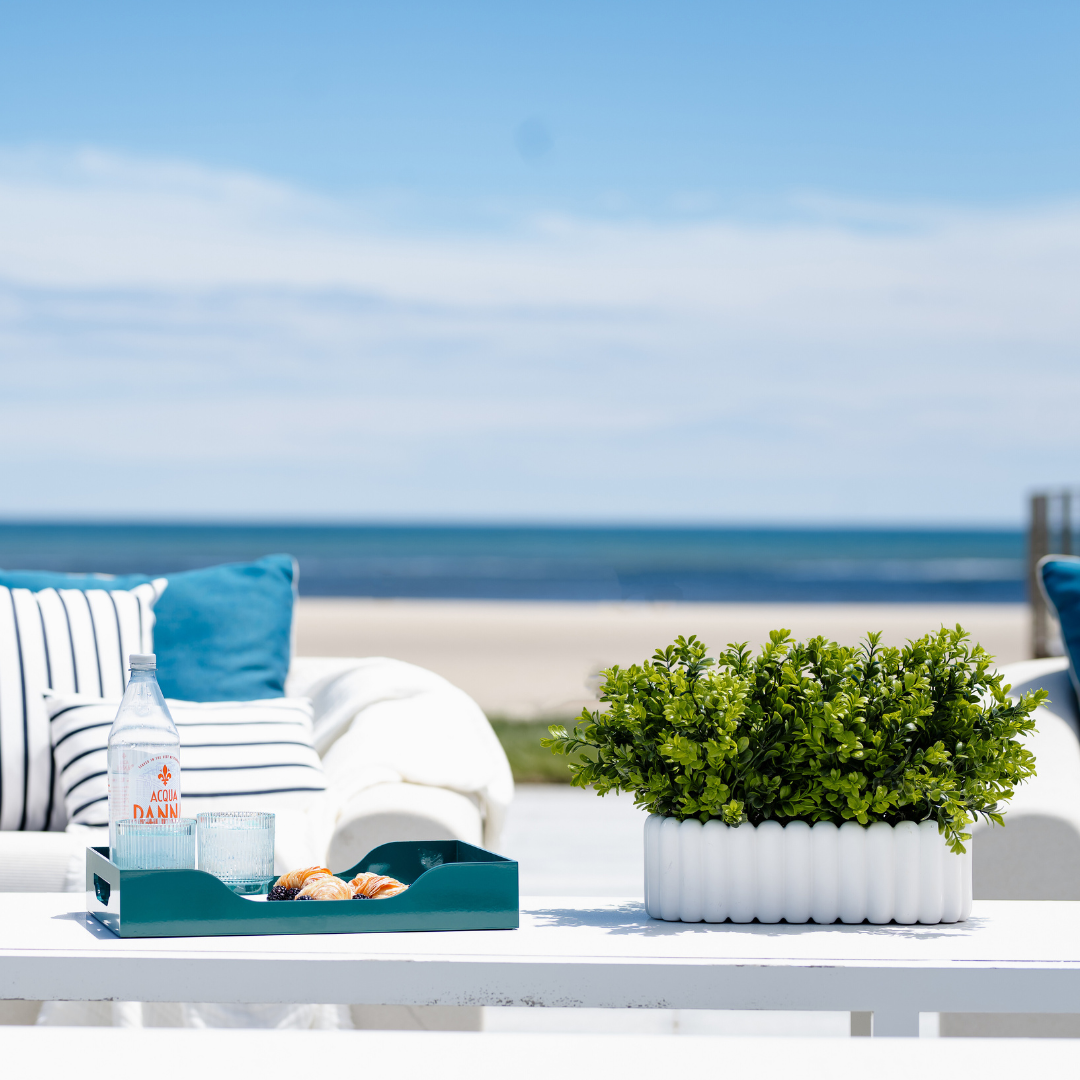  DH Scallop Oval Boxwood Pot、mySite、elrpsem3k