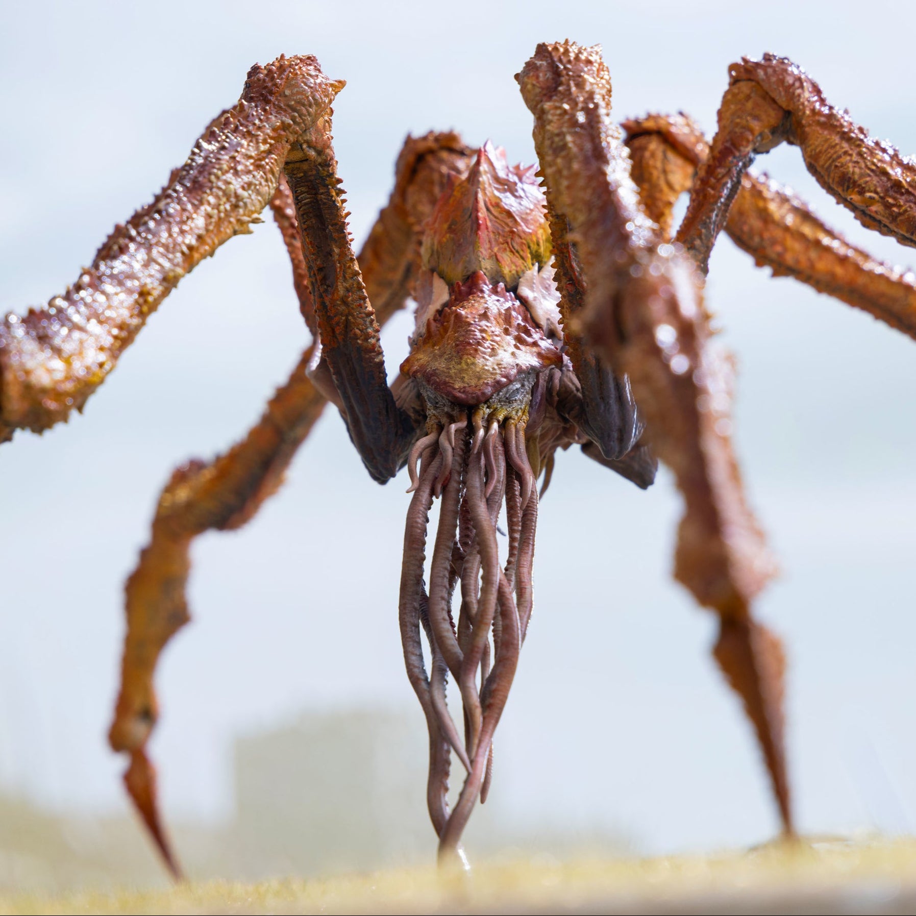 Hiya Toys Exquisite Basic Godzilla x Kong: The New Empire Scylla (Previews Exclusive)、mySite、hgirdovlk