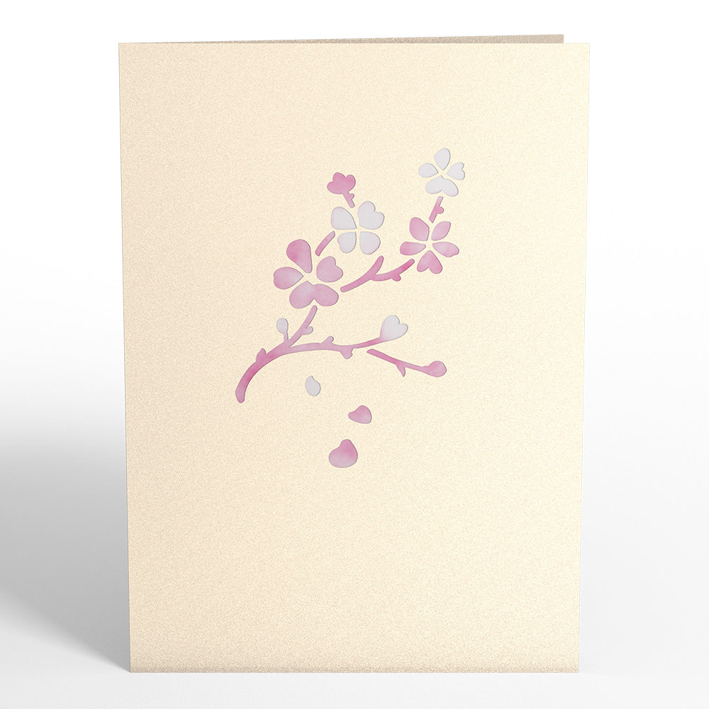 Cherry Blossom Pop-Up Card、mySite、solidvoid