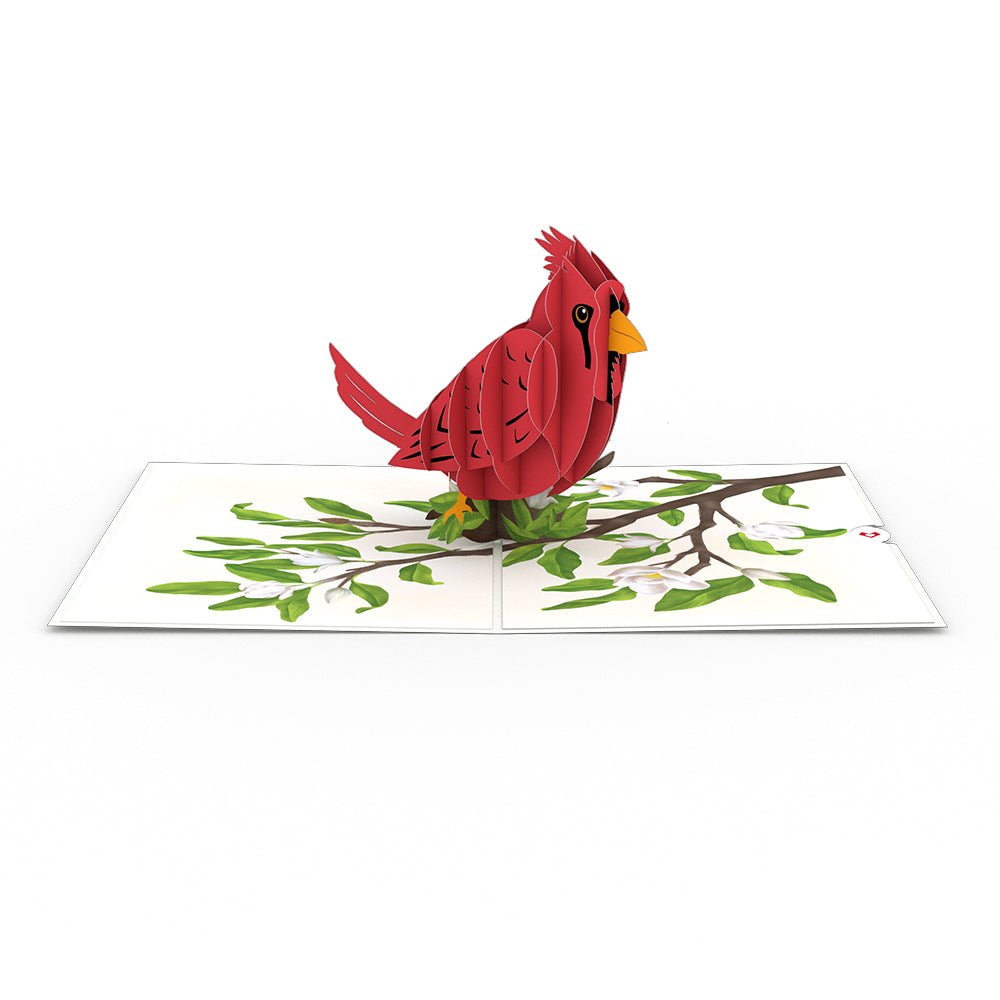 Radiant Cardinal Pop-Up Card、mySite、solidvoid