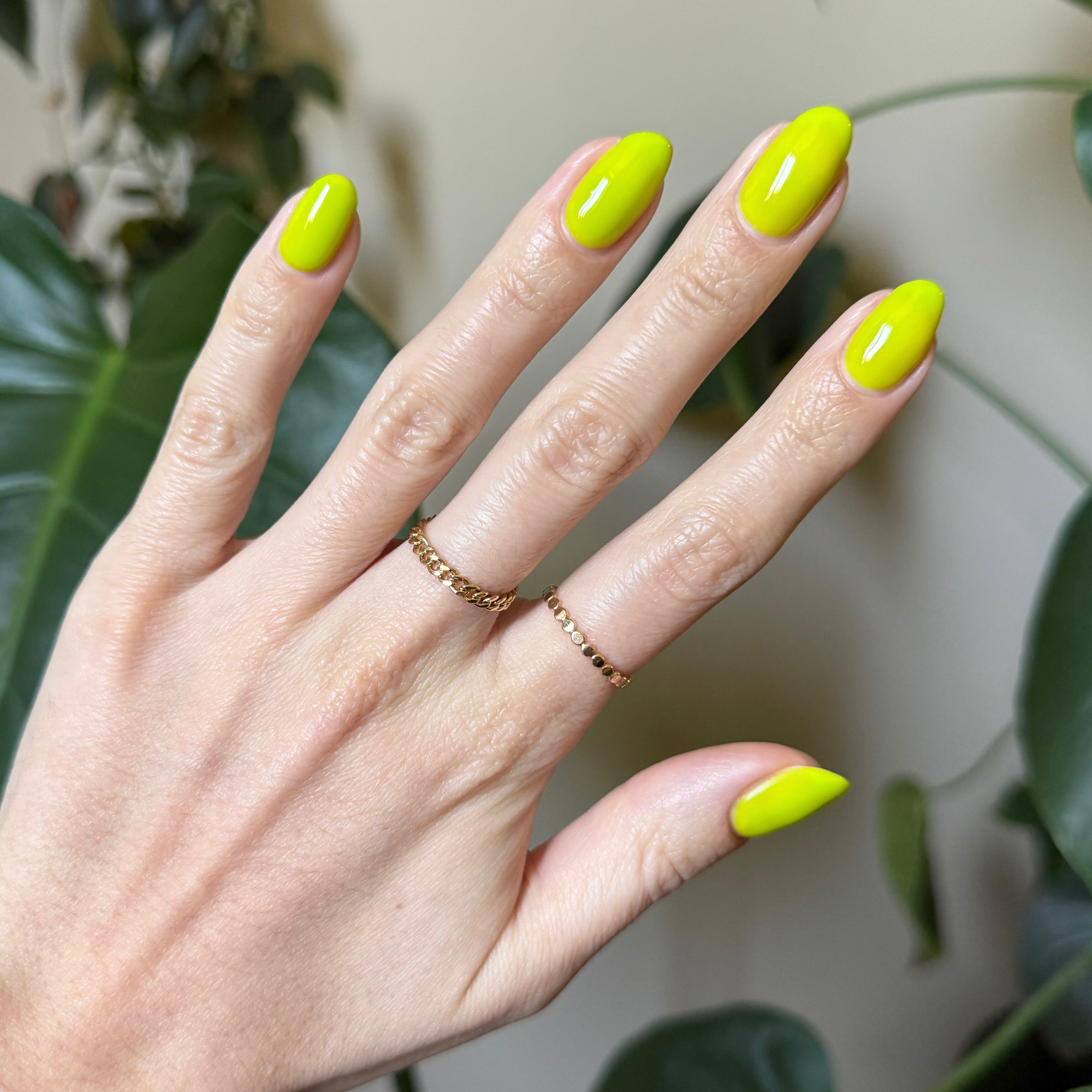 Time To Re-apply - Gel、mySite、solidvoid