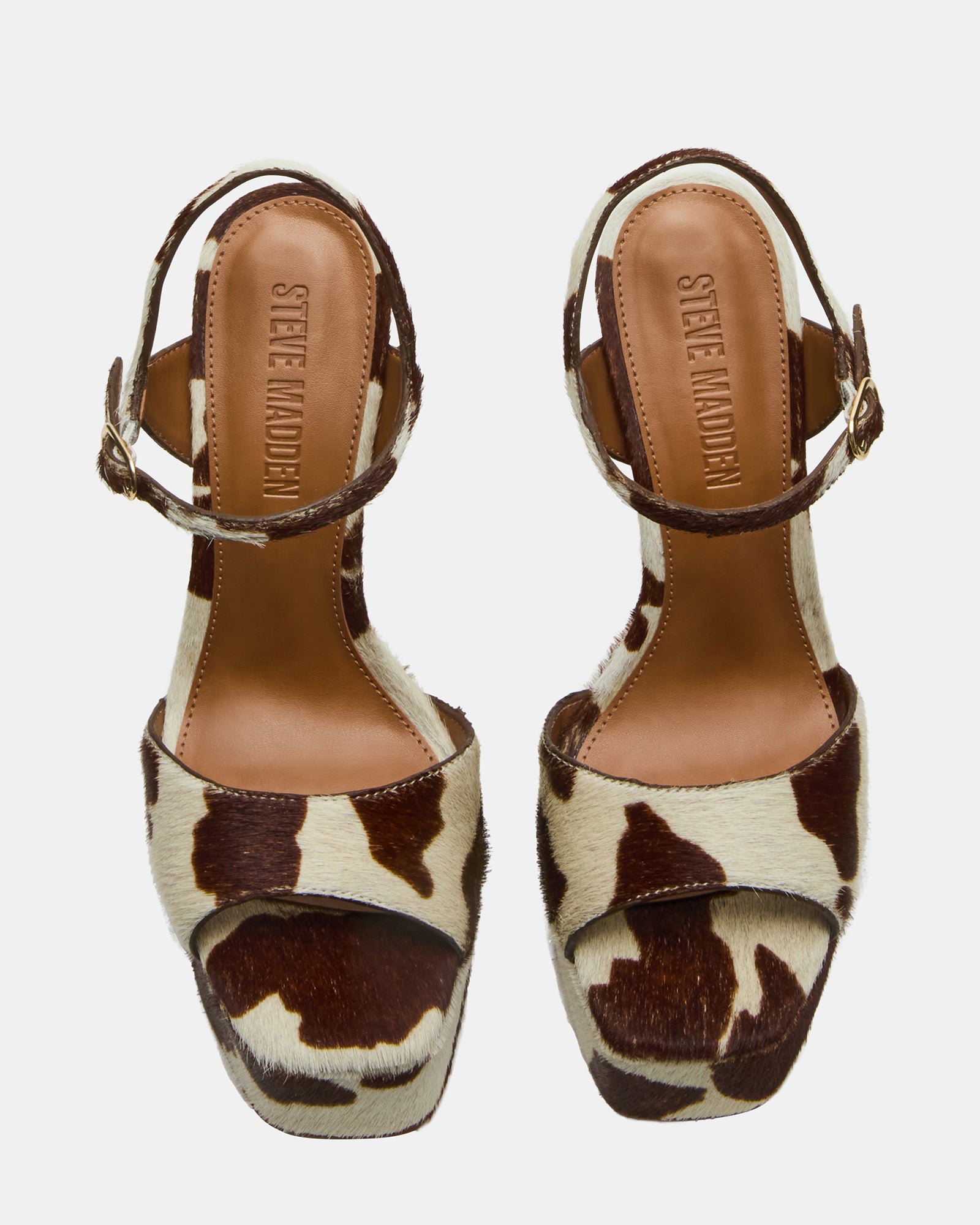 COLOGNE BROWN COW PRINT、mySite、gtrtttuynbv