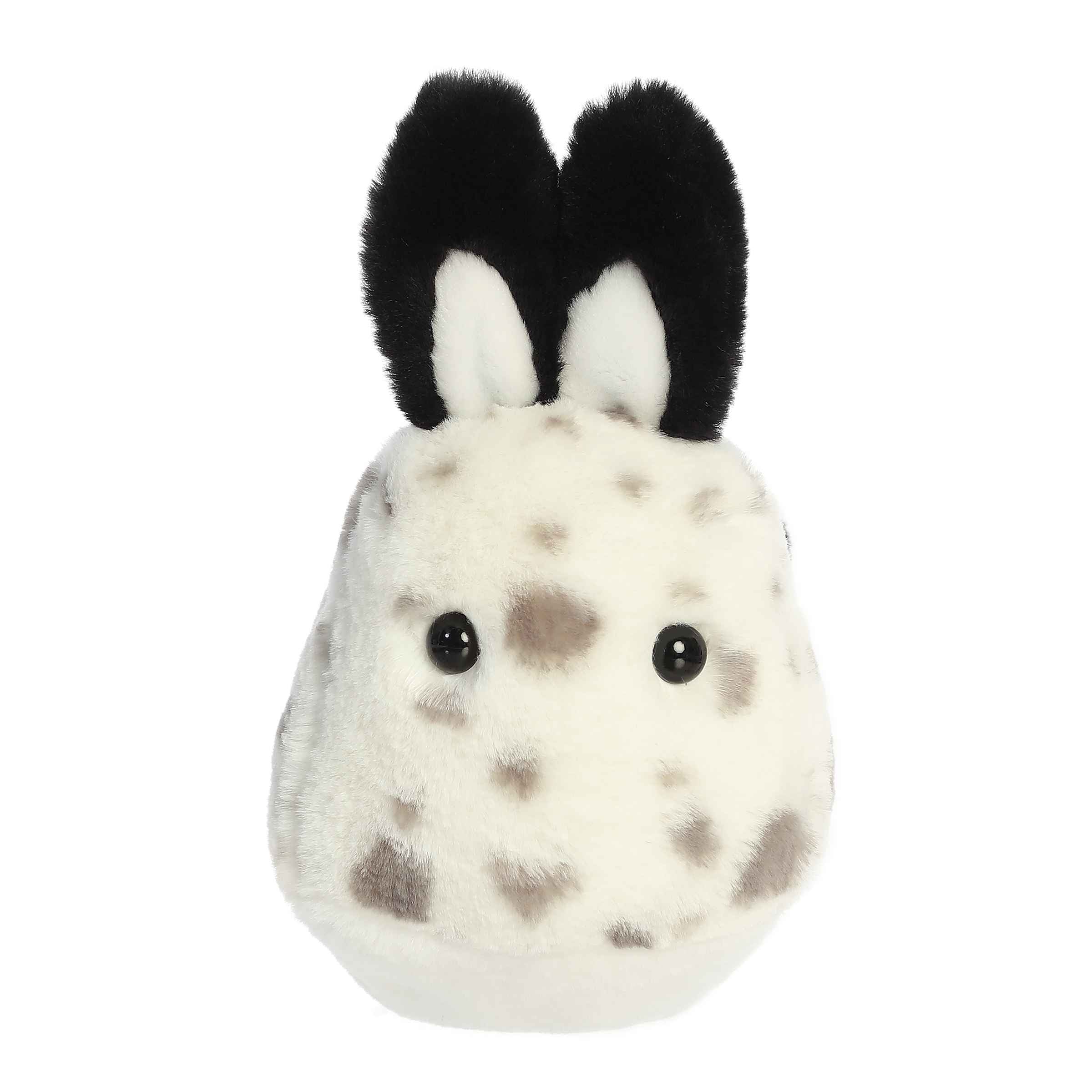 Aurora® - Flopsie™ - 12 Serena Sea Bunny™、mySite、g9winljtr