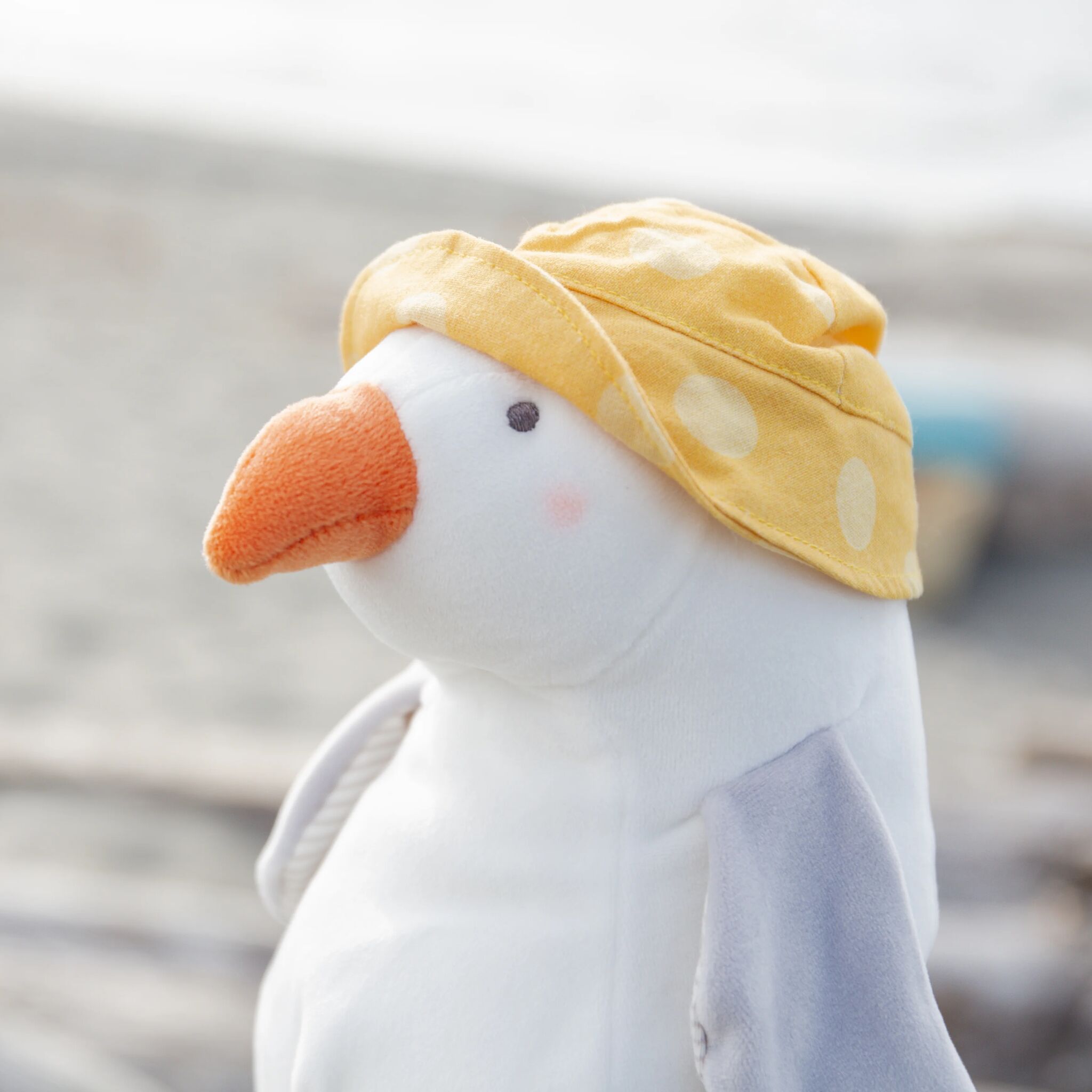 Gulliver Seagull、mySite、g9winljtr