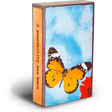 228: Chrysalis、mySite、g9winljtr