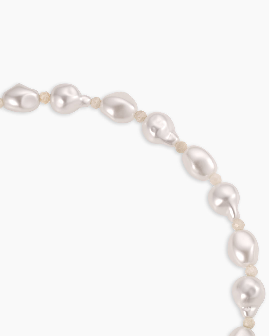 Gold Tulip Shell Charm Necklace、mySite、hinf8tx79