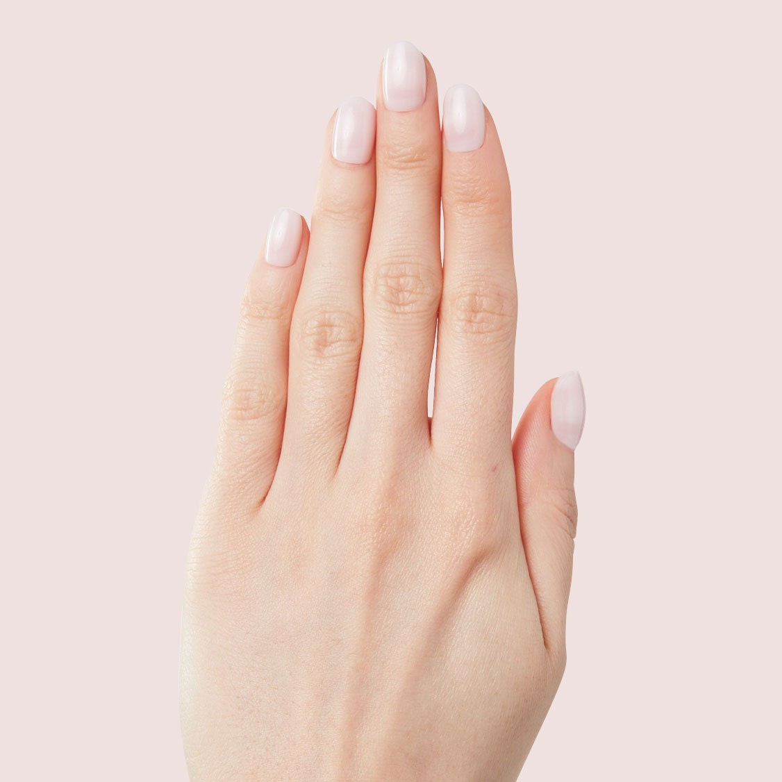 The Classic Mama Set、mySite、solidvoid