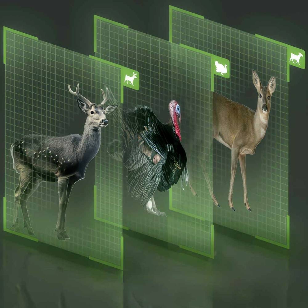 Reolink Go Series G450 Câmara de Segurança WiFi com Painel Solar、mySite、fannypackpong