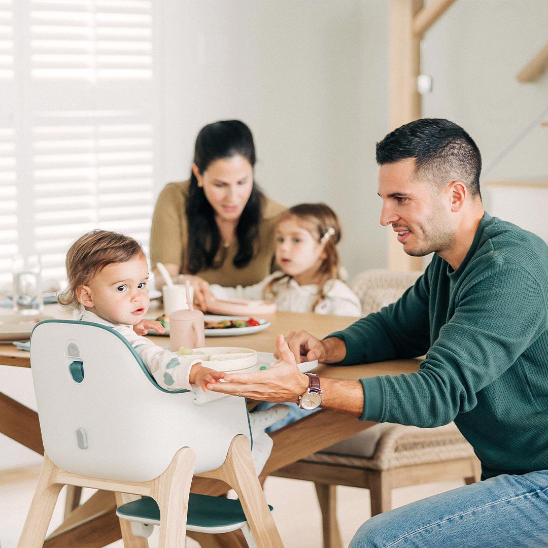  UPPABaby Ciro Highchair - Emrick、mySite、merchandisen