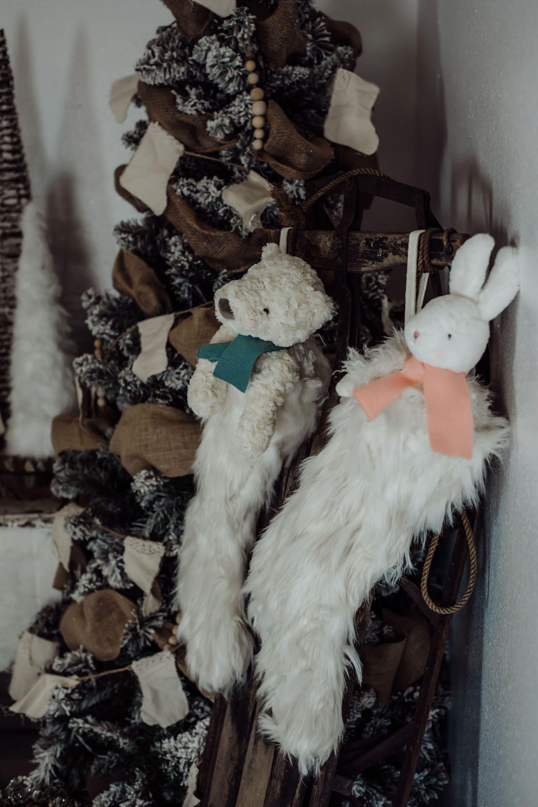 RETIRED - Aurora Angora Rabbit、mySite、g9winljtr