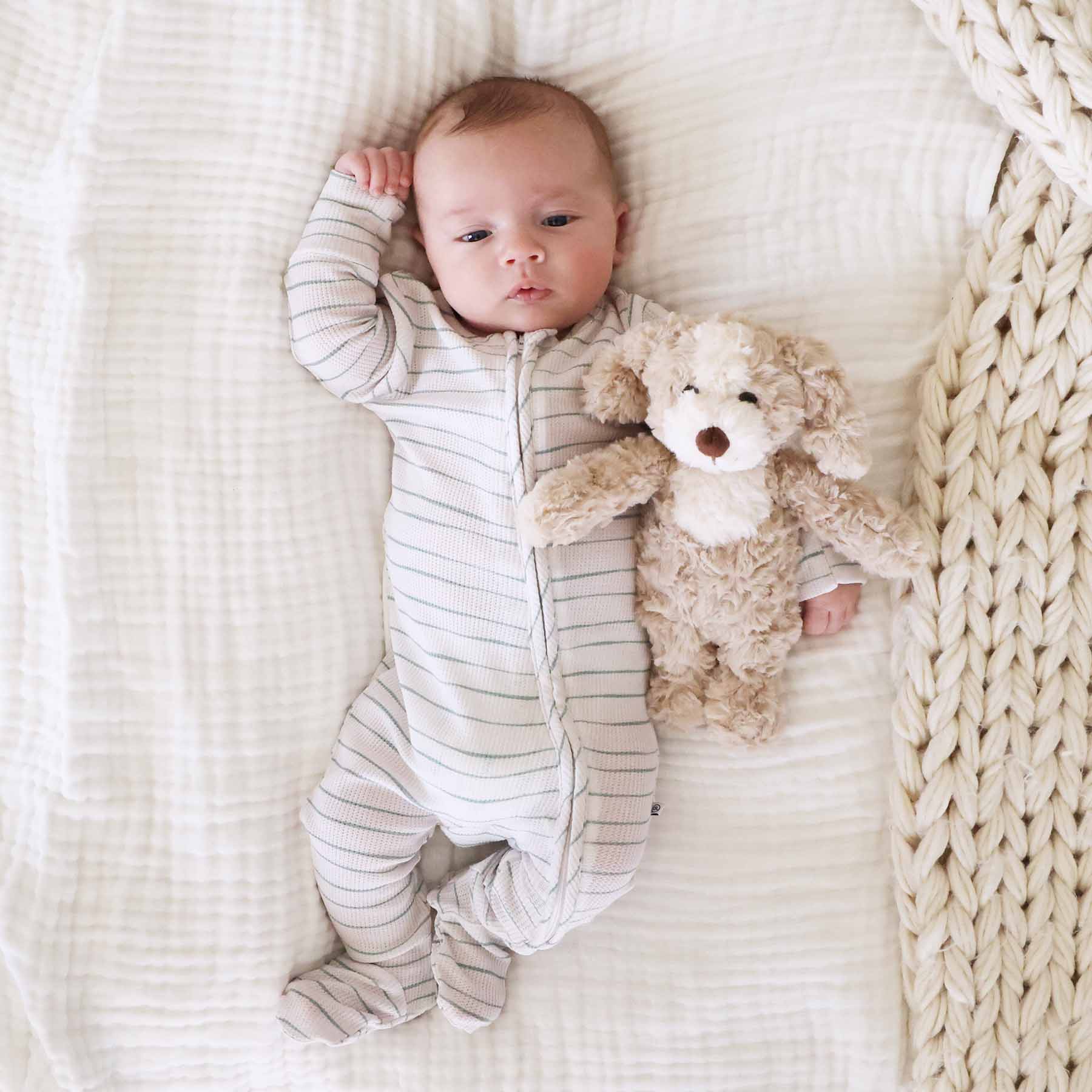  Cuddle Plush Friends | Parker Puppy、mySite、layawaytickets