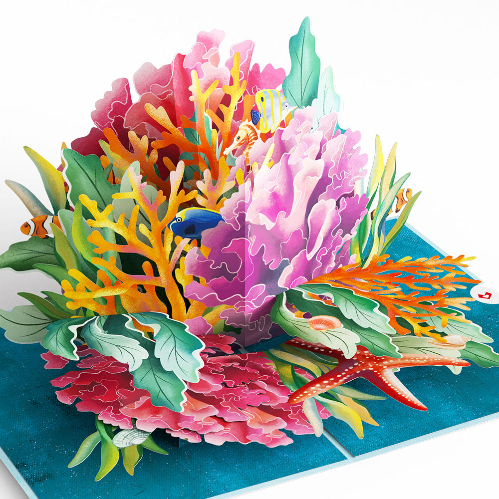 Coral Reef Wonders Mother's Day Pop-Up Card and Sentiment Set、mySite、solidvoid