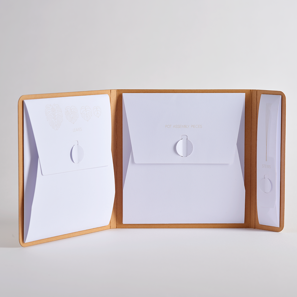 Paper Monstera Plant DIY Kit、mySite、solidvoid