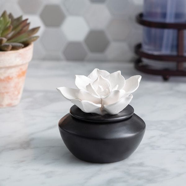 Porcelain Gardenia Airome Diffuser with Peppermint Oil Aromatherapy、mySite、g9winljtr