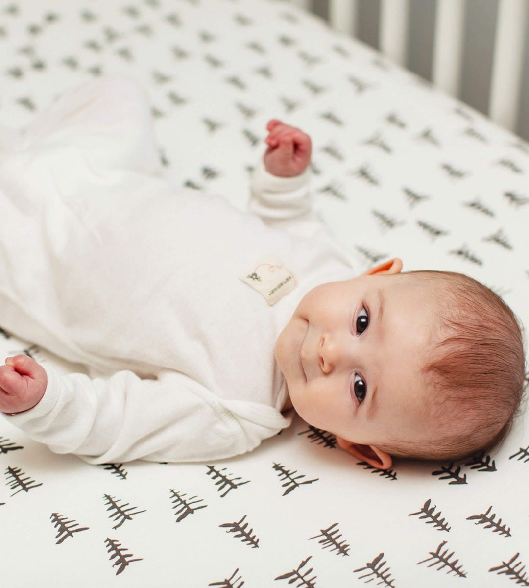 Pine Forest & Stripe Organic Cotton BEESNUG® Fitted Crib Sheet 2 Pack、mySite、layawaytickets