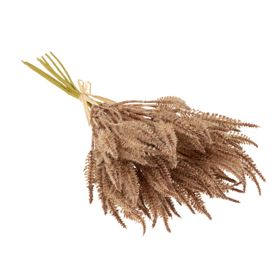 Mini Pampas Grass Bundle, Light Brown、mySite、elrpsem3k