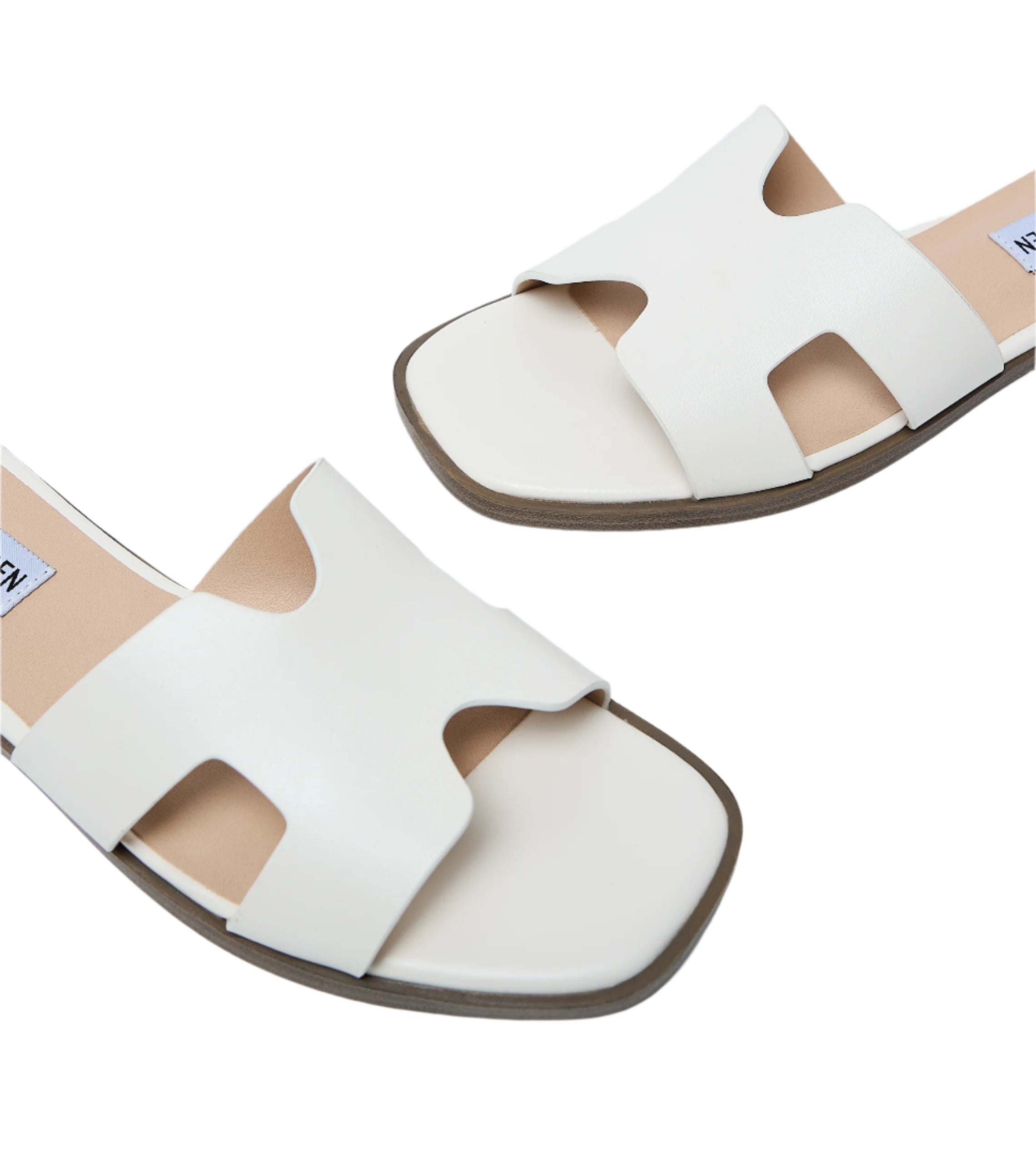 PAVEN WHITE、mySite、dreamappss