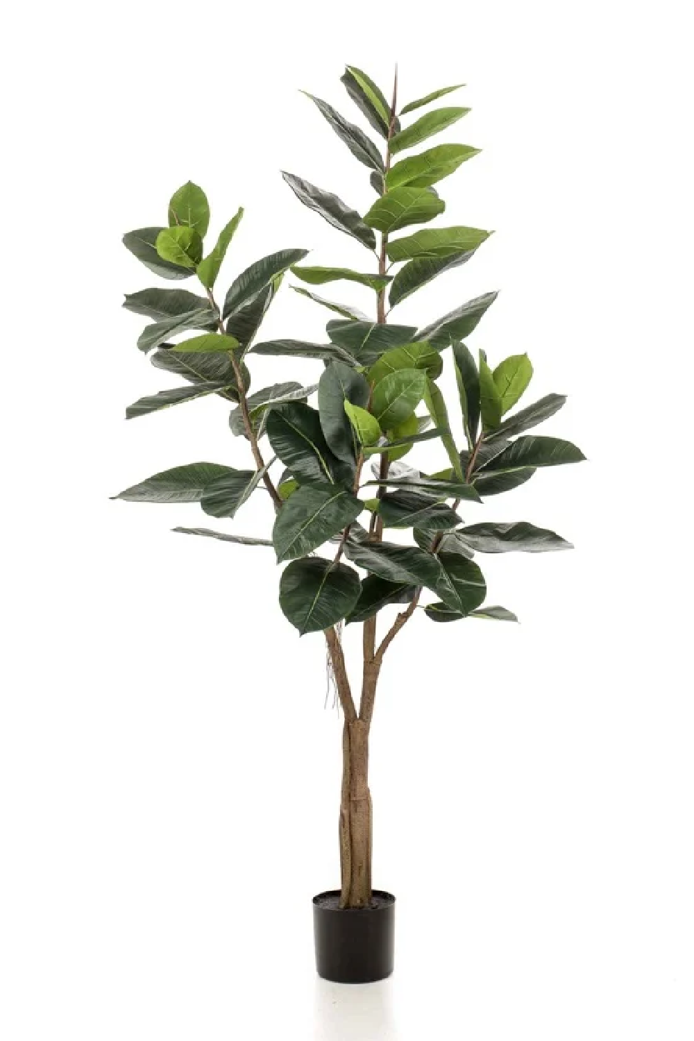Potted Faux Tree Set (2) | Emerald Ficus Elastica、mySite、neckold