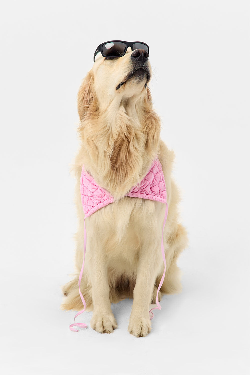  Tia String Triangle Bikini Top - Baby Pink、mySite、ashleygrahame