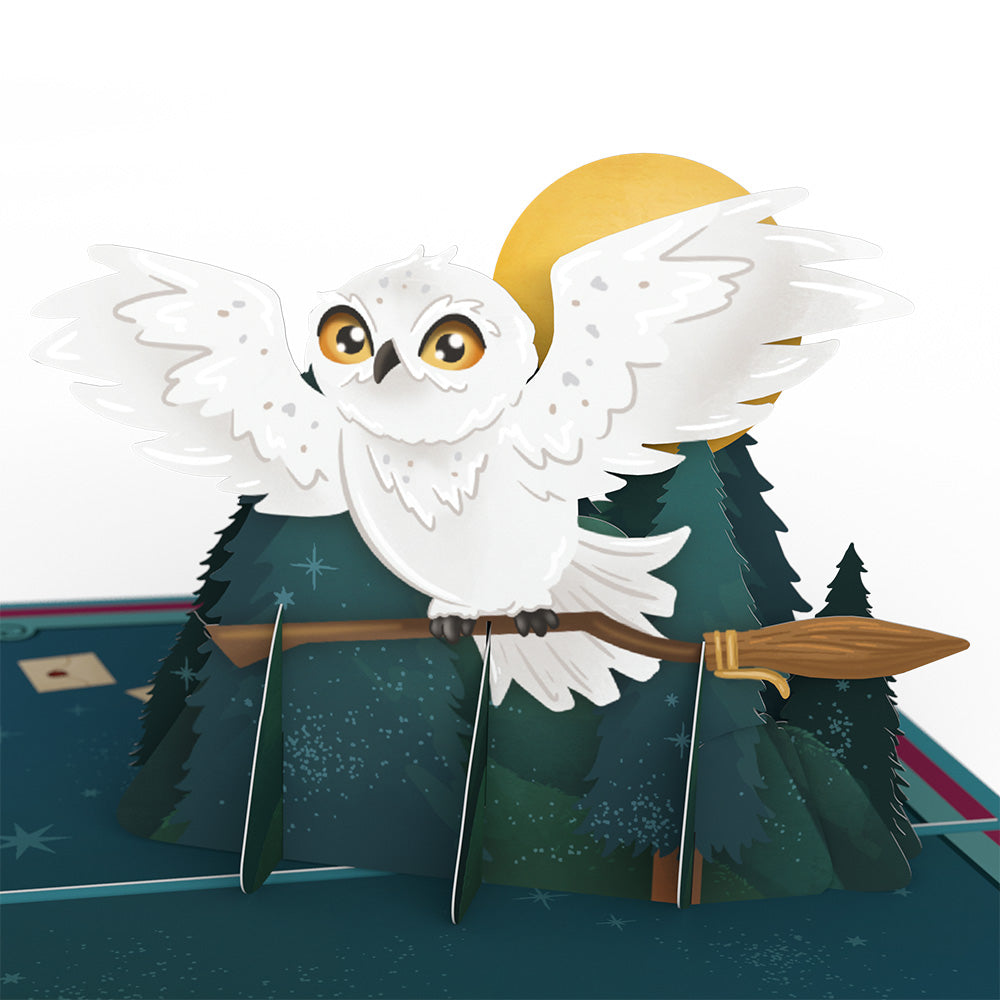 Harry Potter™ Magical Birthday Surprises 4-in-1 Nesting Card、mySite、solidvoid