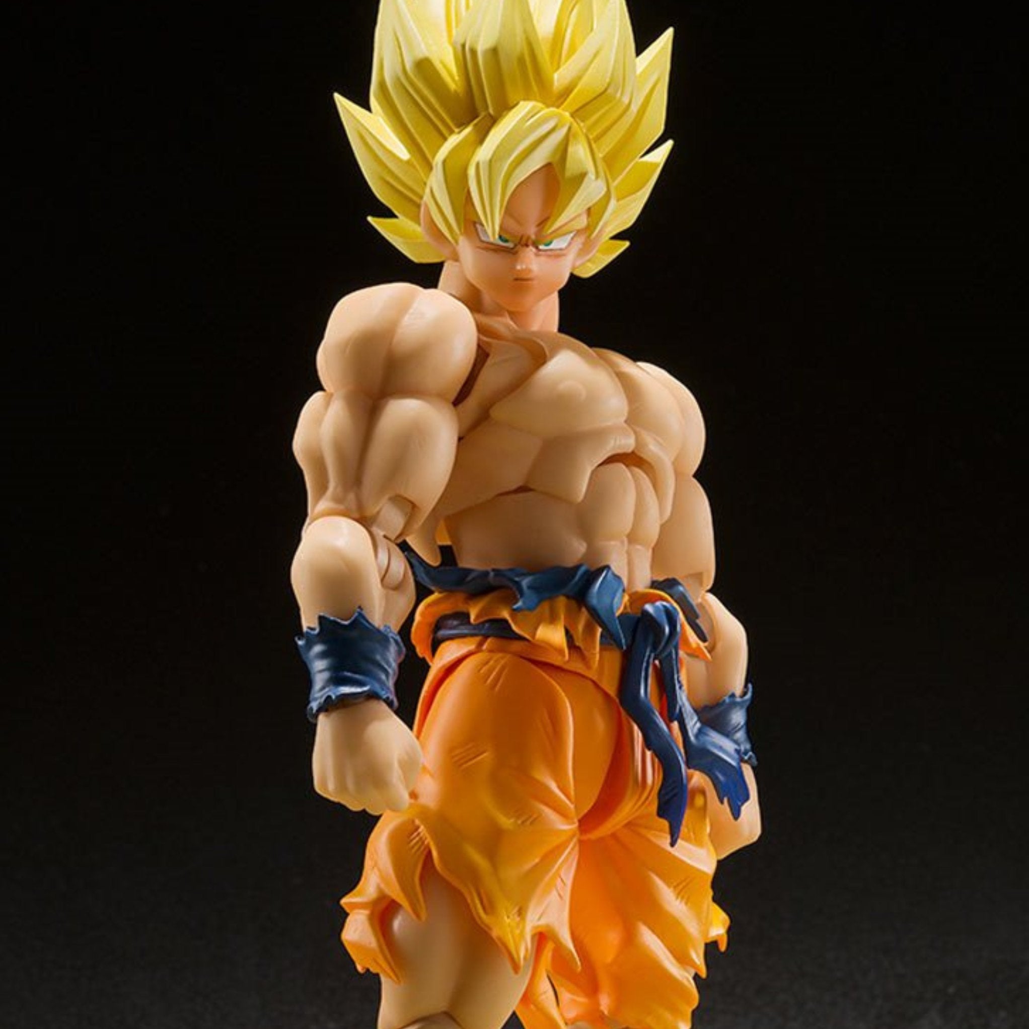 S.H. Figuarts Dragon Ball Z Super Saiyan Goku (Legendary Super Saiyan)、mySite、hgirdovlk